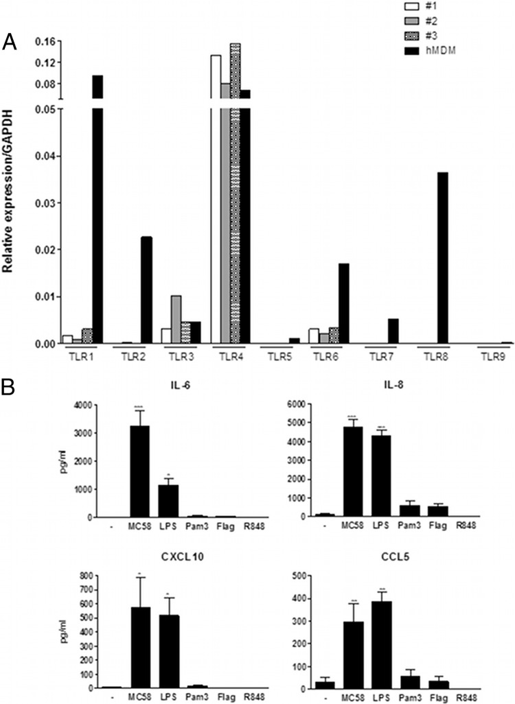 Fig 4