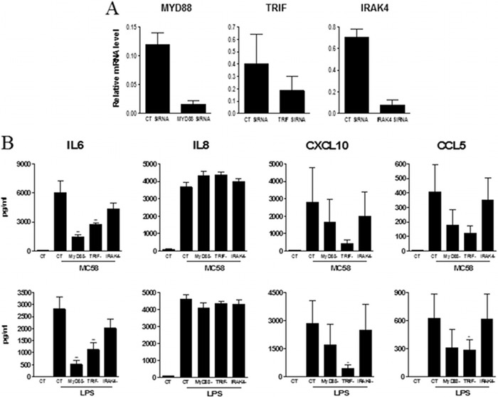 Fig 6