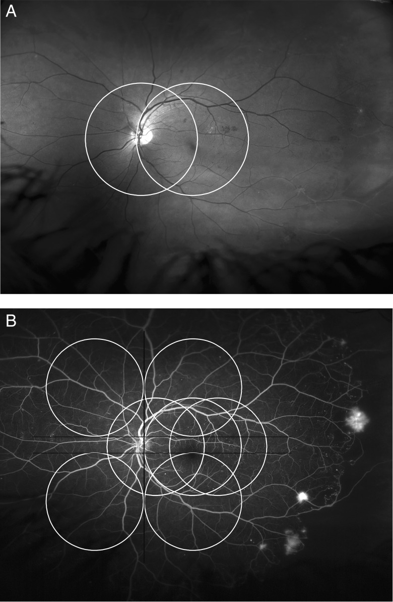 Figure 2