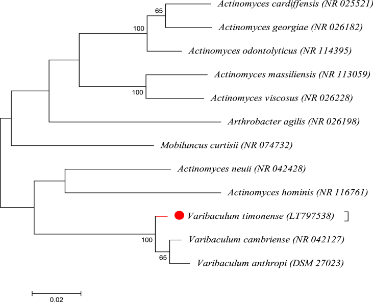 Fig. 3