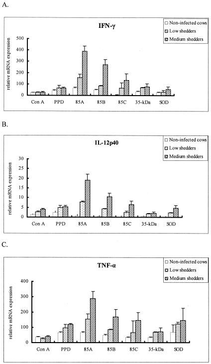 FIG. 8.