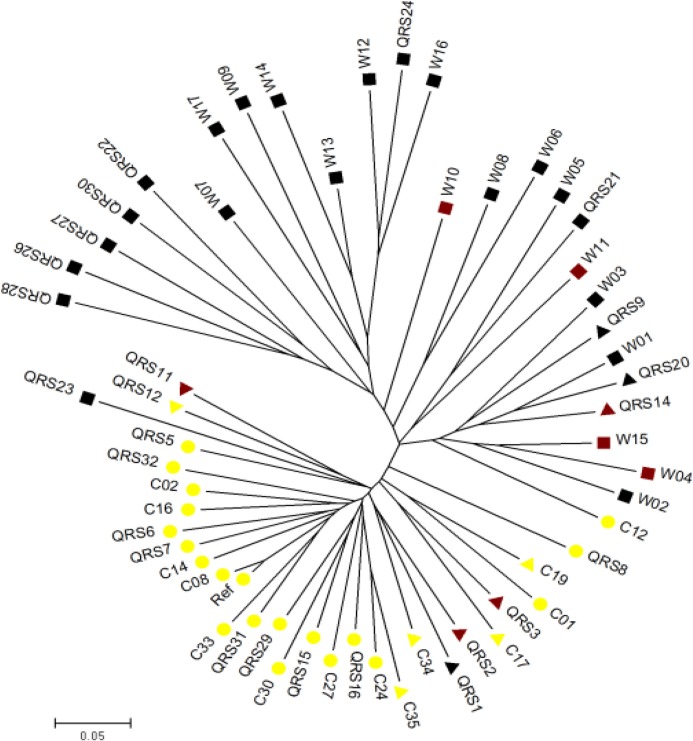 Fig 1