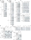 Extended Data Figure 1