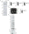 Extended Data Figure 4