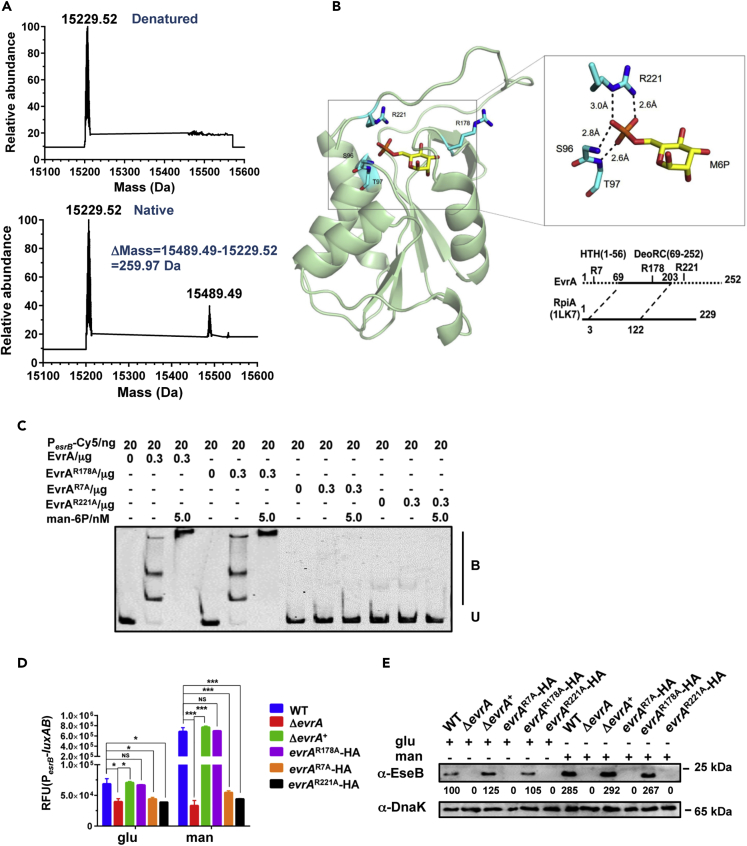 Figure 5