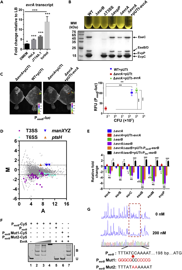 Figure 3