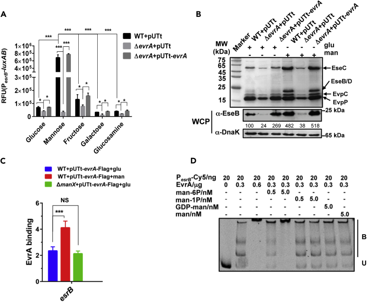 Figure 4