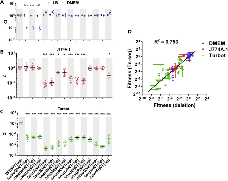 Figure 2