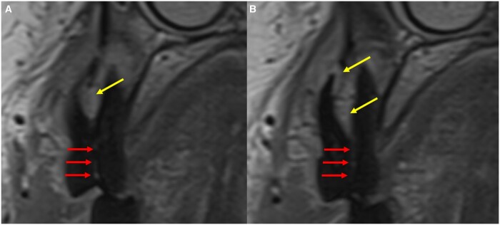 Figure 10.