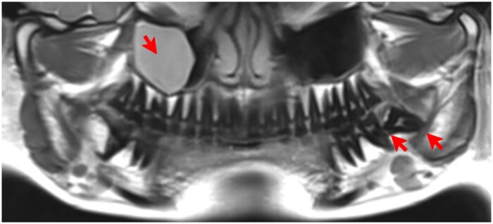 Figure 7.