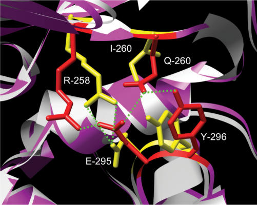 Figure 5.