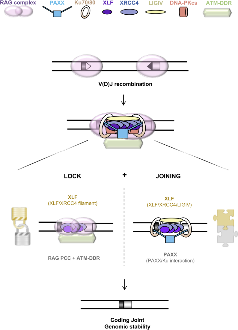 Figure 7