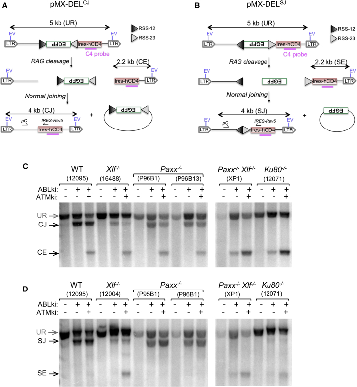 Figure 4