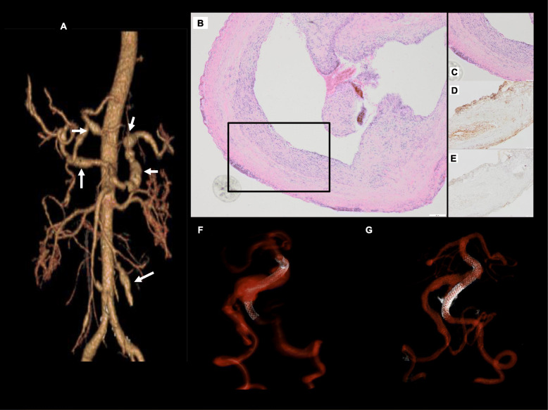 Fig. 4