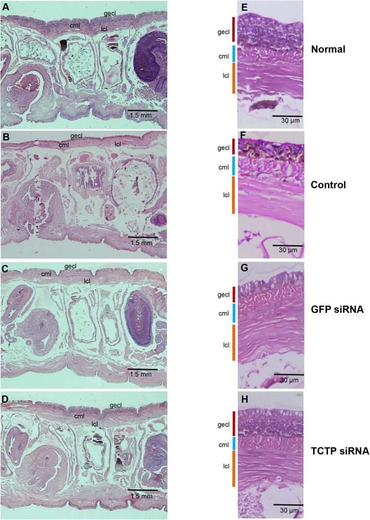 Fig 11