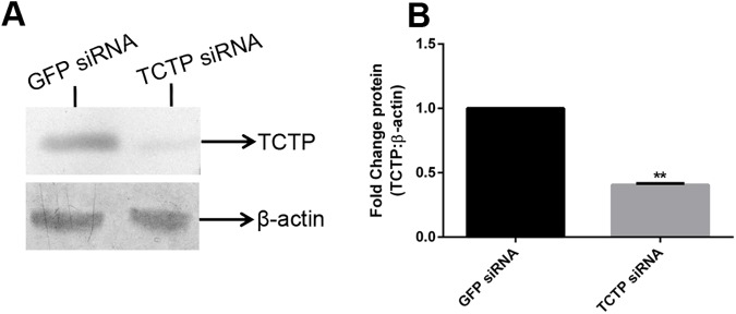 Fig 9