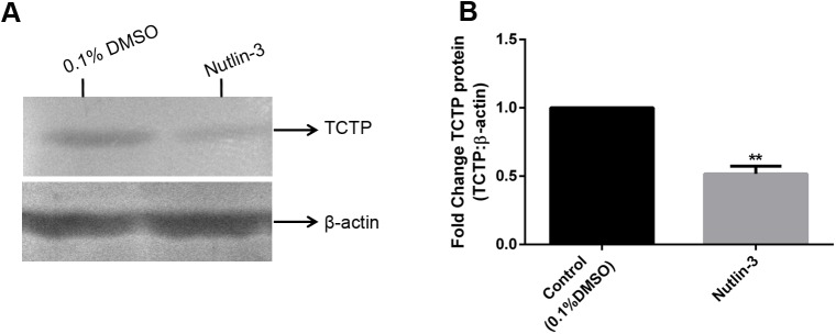 Fig 7