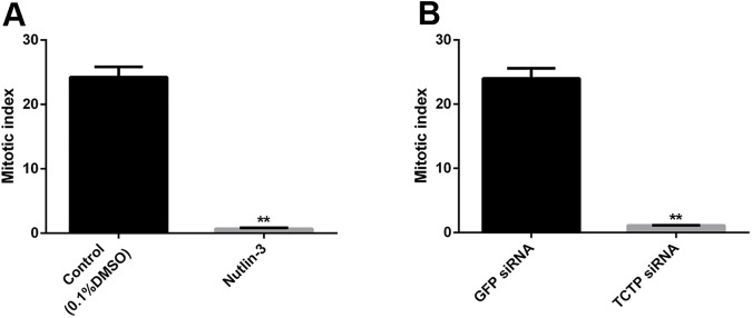 Fig 12