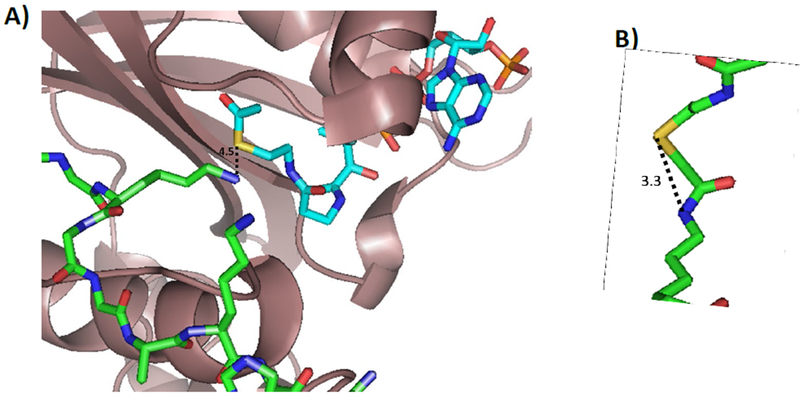 Figure 3: