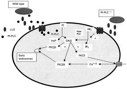 FIG. 9.