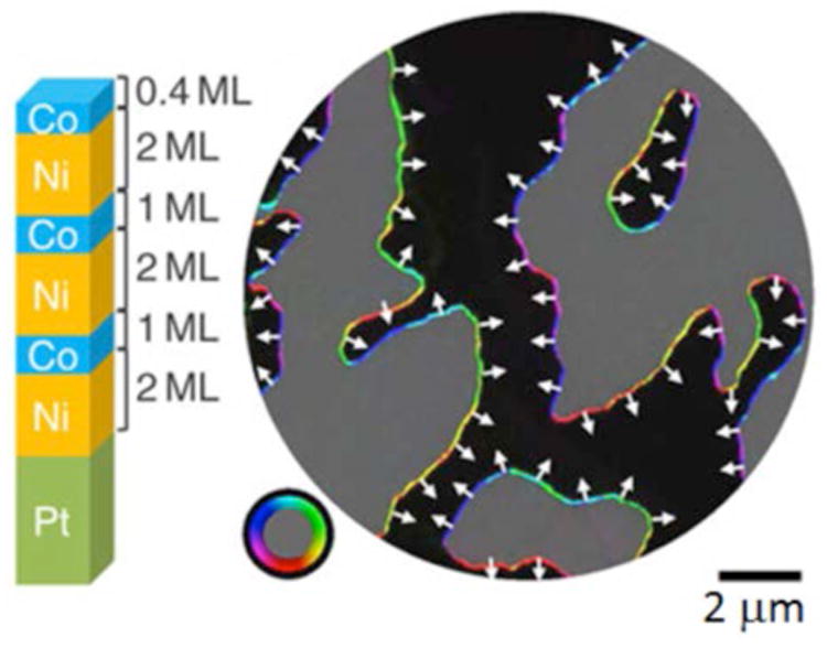 Figure 19