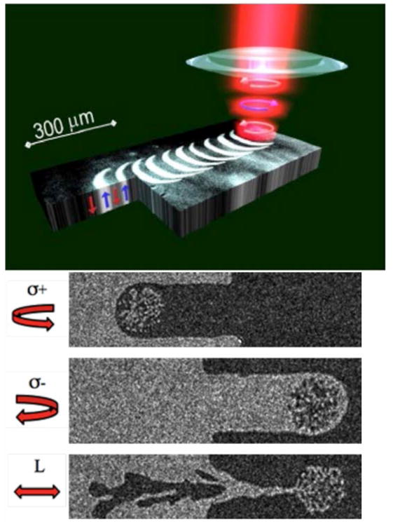 Figure 28