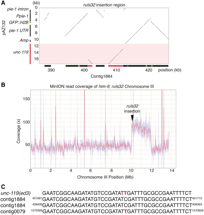 Figure 6.