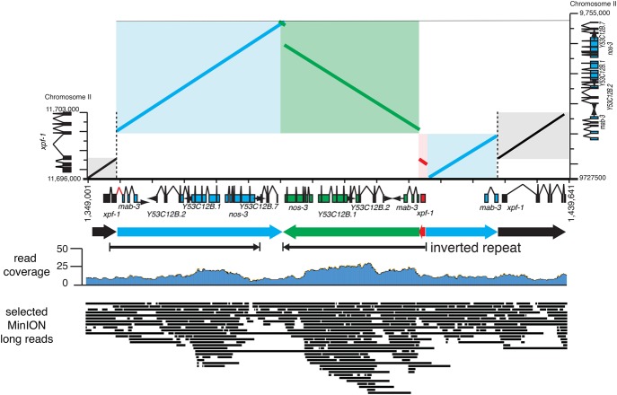 Figure 5.