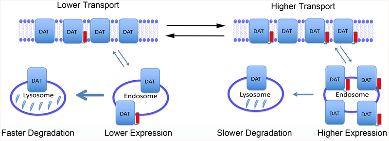 Figure 7.