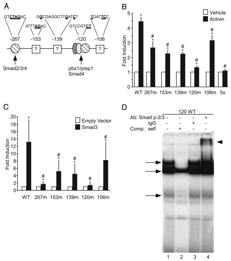 Fig. 4