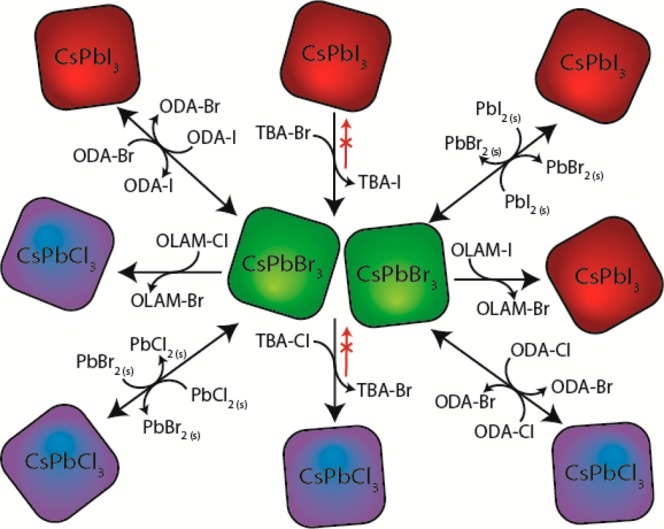 Scheme 1