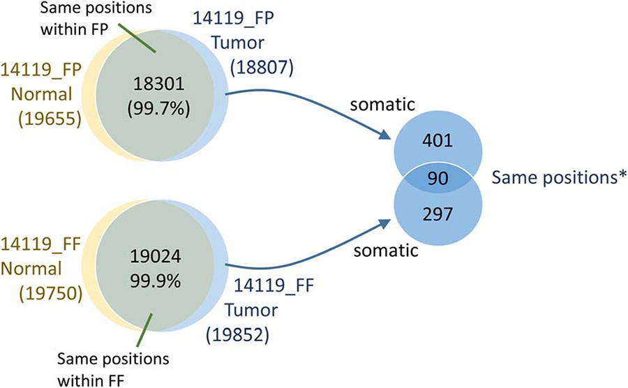 graphic file with name oncotarget-06-25943-i007.jpg