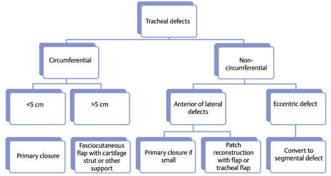 Fig. 2﻿