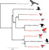 FIGURE 1