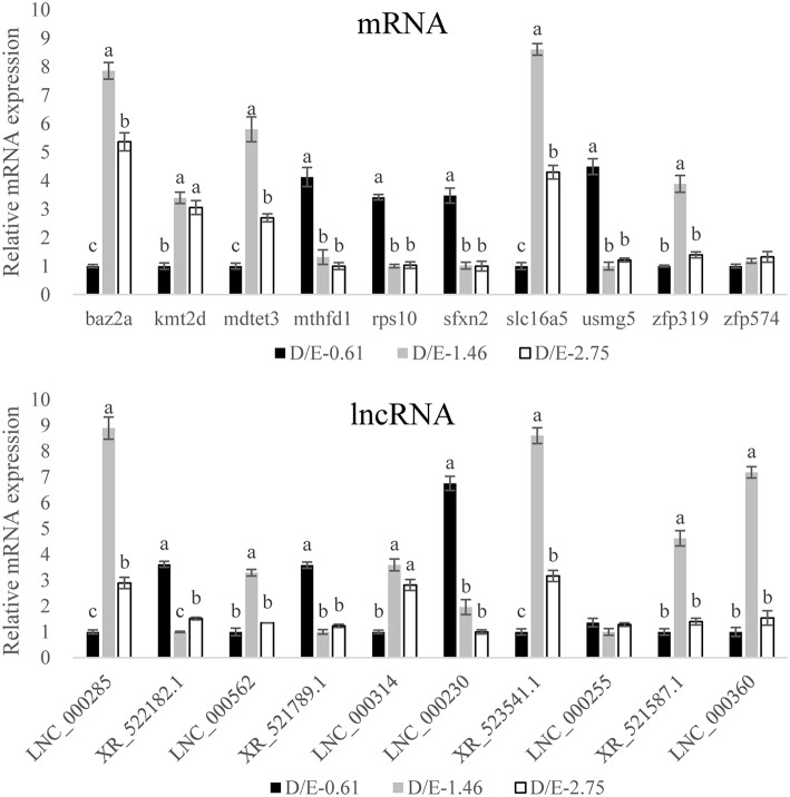 Figure 6