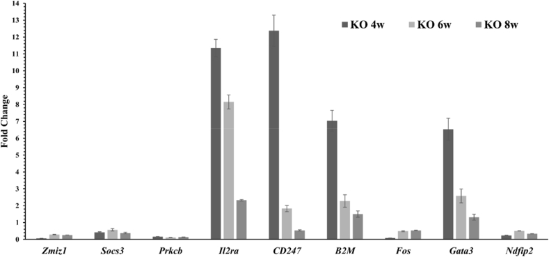 Fig. 6