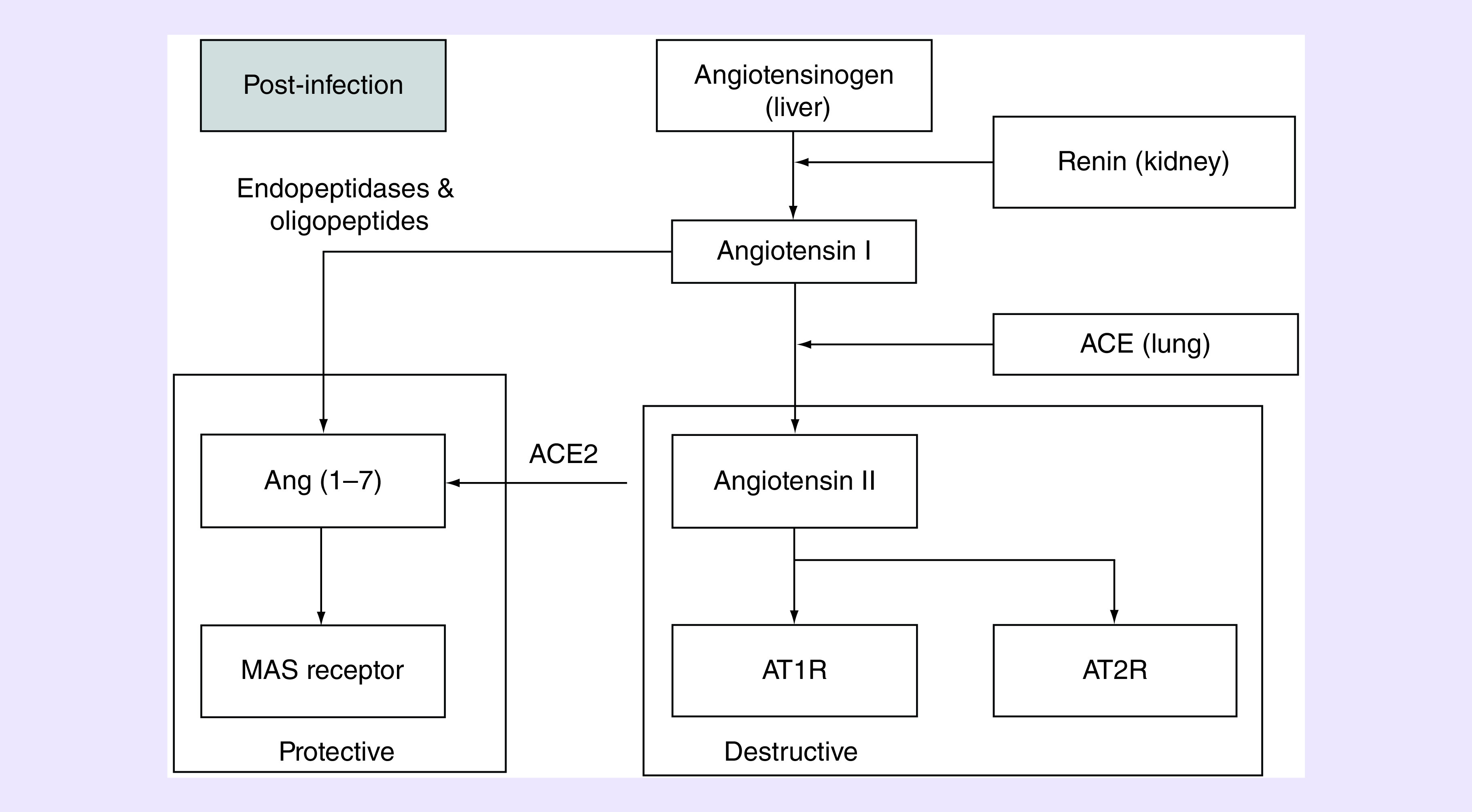 Figure 1. 