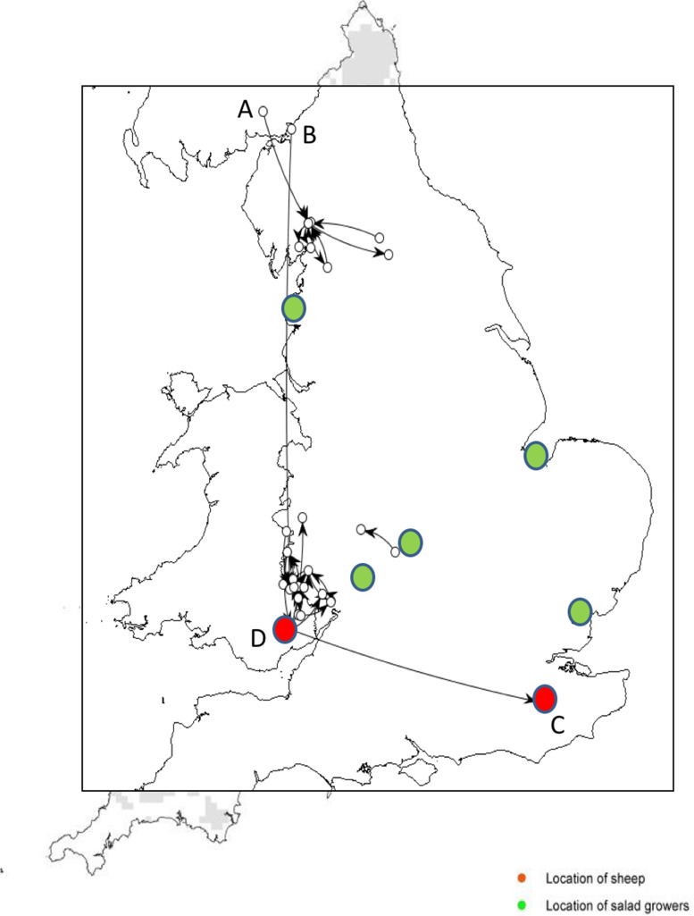 Fig. 3.