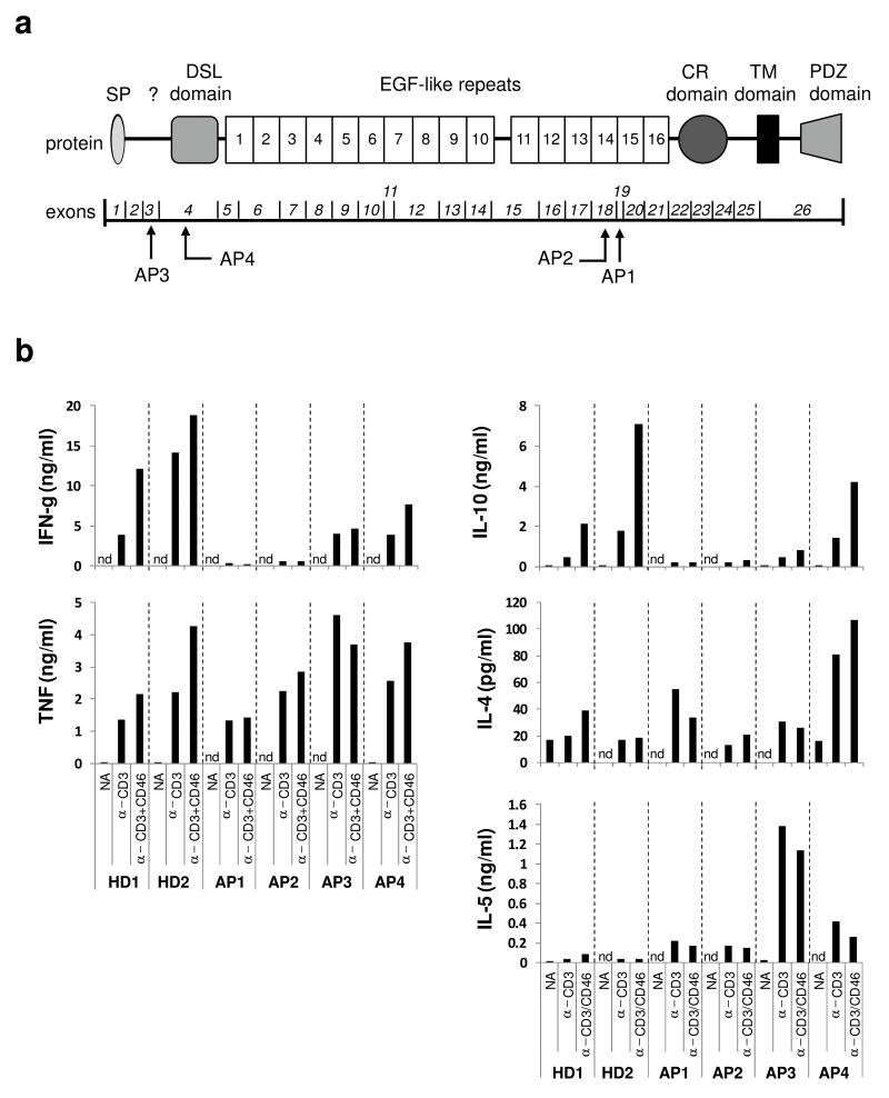 Figure. 6