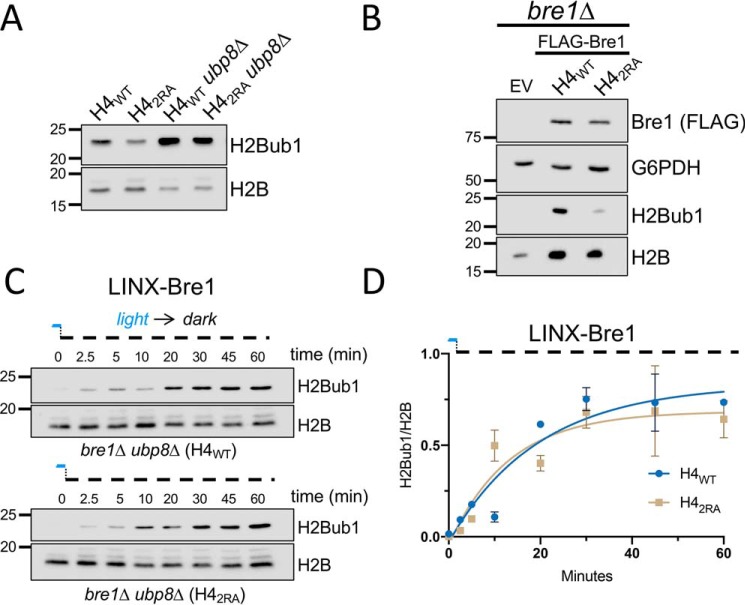 Figure 4.