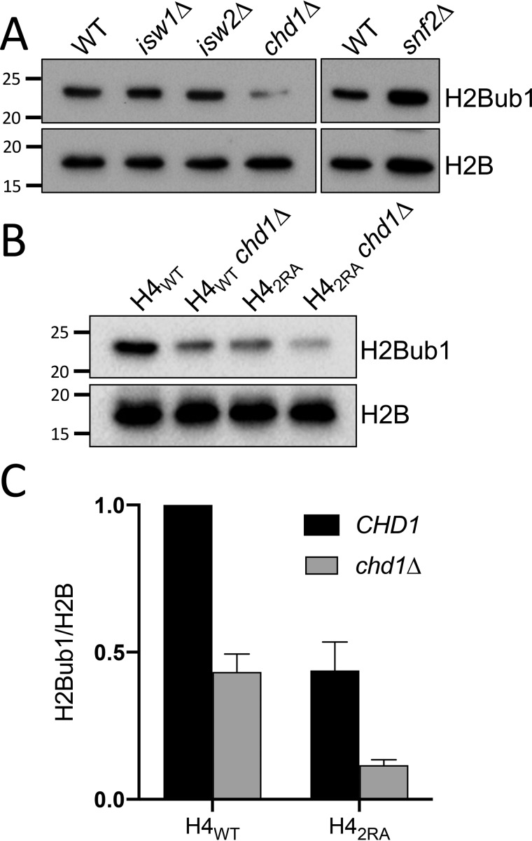 Figure 3.