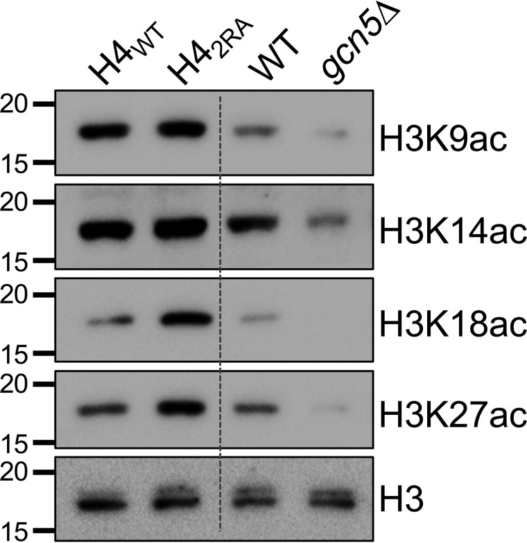 Figure 6.