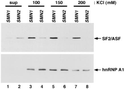 Figure  2