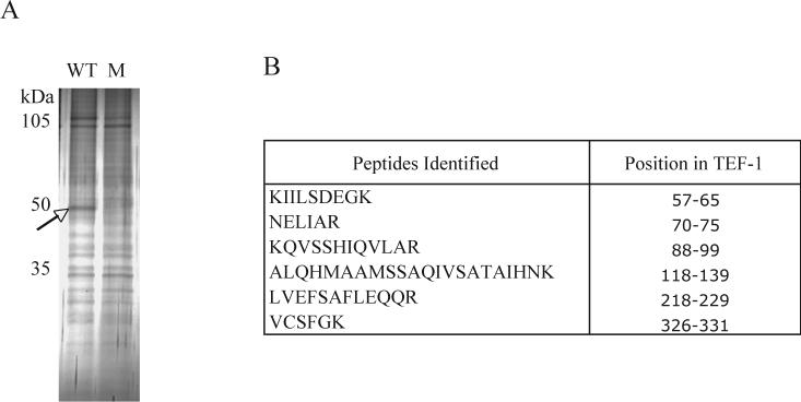 Fig.2