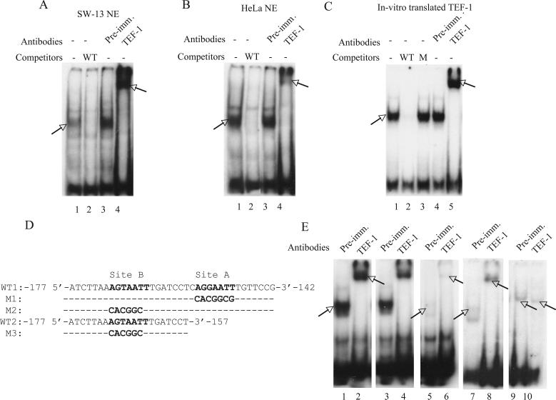 Fig.3