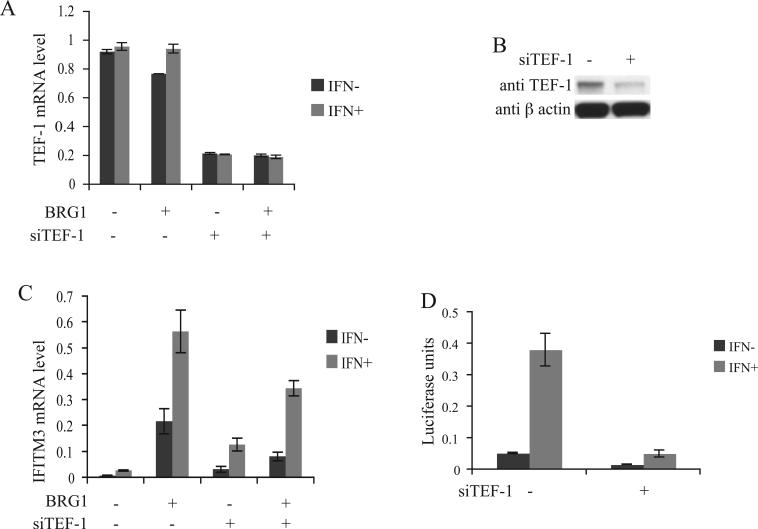 Fig.4