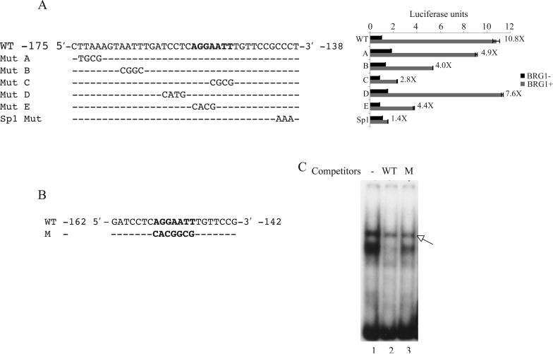 Fig.1