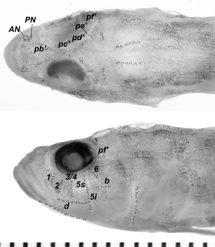 Figure 5.