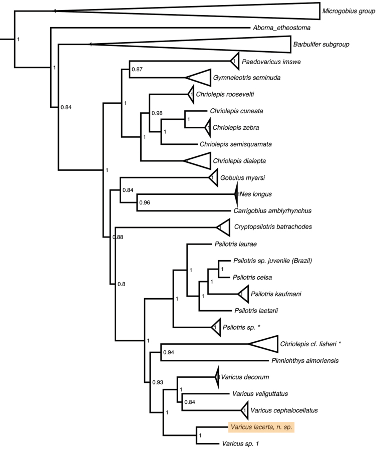 Figure 1.