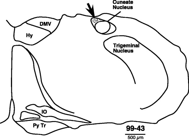 Figure 7.